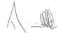 DMA SIG
